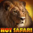 Hot Safari