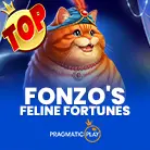 Fonzo's Feline Fortunes