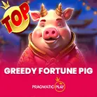 Greedy Fortune Pig