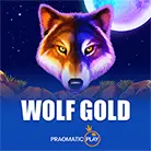 Wolf Gold