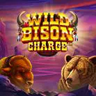 Wild Bison Charge