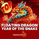Floating Dragon - Year of the Snake