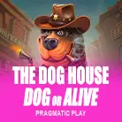 The Dog House - Dog or Alive