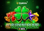 40 Burning Blaze 6 reels