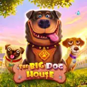 The Big Dog House