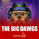 The Big Dawgs