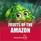 Fruits of the Amazon