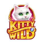 Kitty Wild