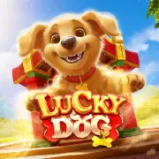 Lucky Dog