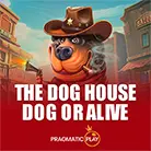 The Dog House - Dog or Alive