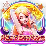 Wild Disco Night