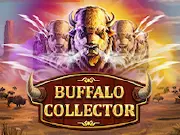 Buffalo Collector