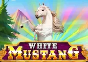 White Mustang