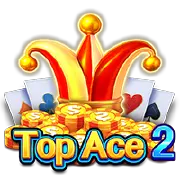 Top Ace 2