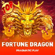 Fortune Dragon