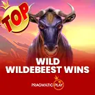 Wild Wildebeest Wins