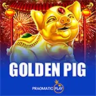 Golden Pig