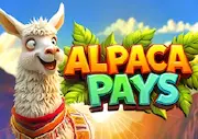 Alpaca Pays