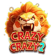 Crazy Crazy 2