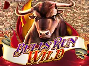 Bulls Run Wild