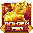 Golden Pig